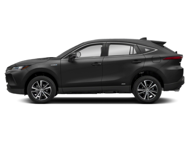 Black Venza